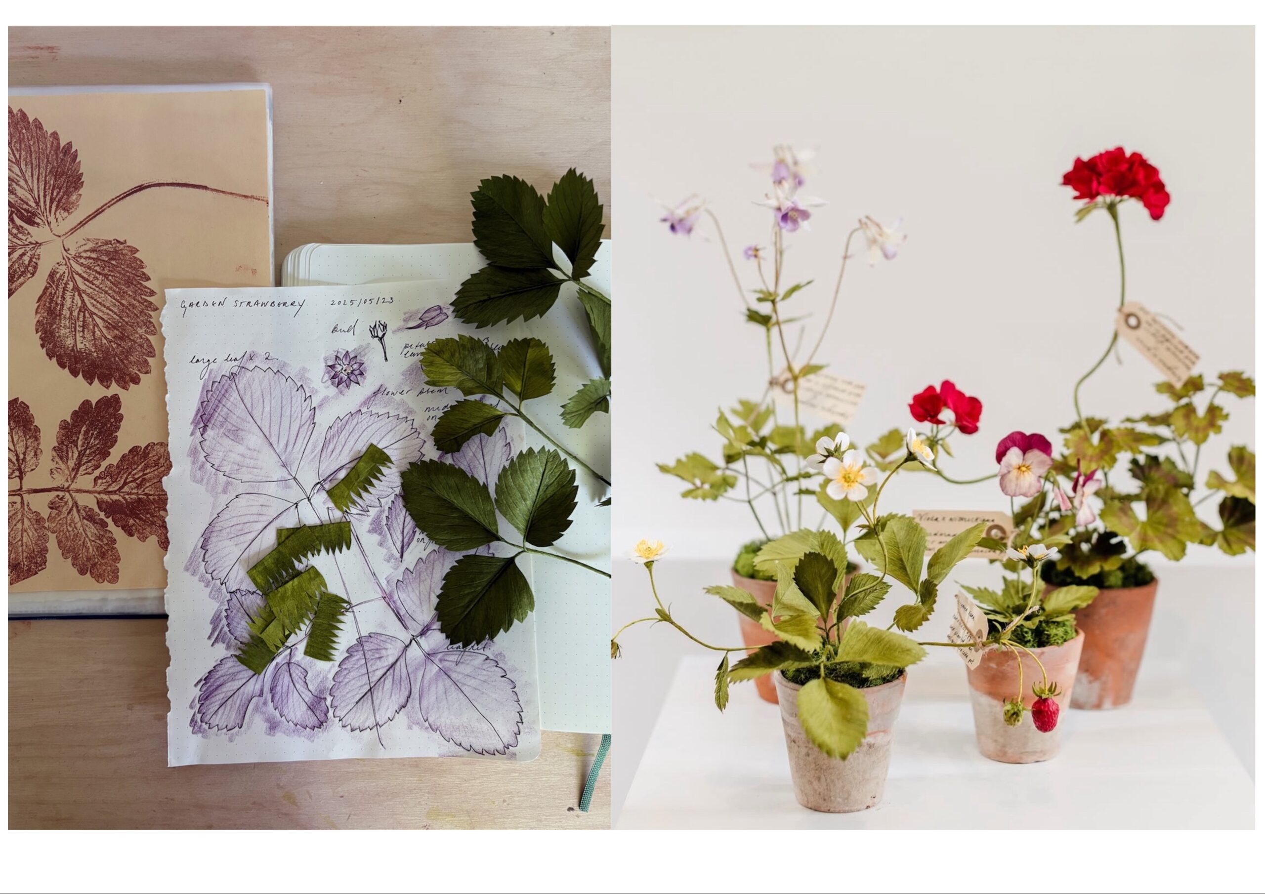 Sarah Kestenberg - Paper Botanicals